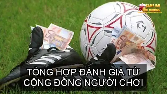 Tiêu Chí "Vàng" Đánh Giá Cổng Game Bài Uy Tín 8 Tổng hợp đánh giá từ cộng đồng người chơi